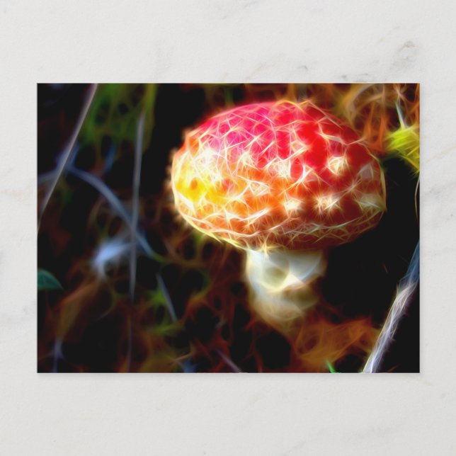 Electric Fly Agaric Postcard (Front)