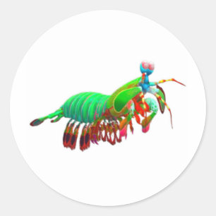 ​Electric Green Mantis Shrimp Decal - Exotic Ocean Classic Round Sticker