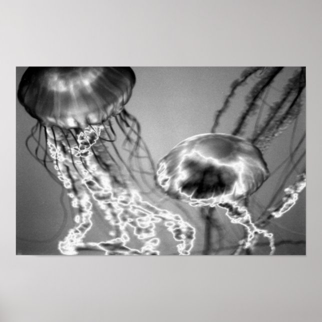 Electric Jellies Poster (Front)