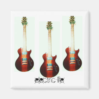 electric life magnet