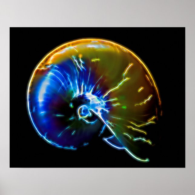 Electric Nautilus Poster (Front)