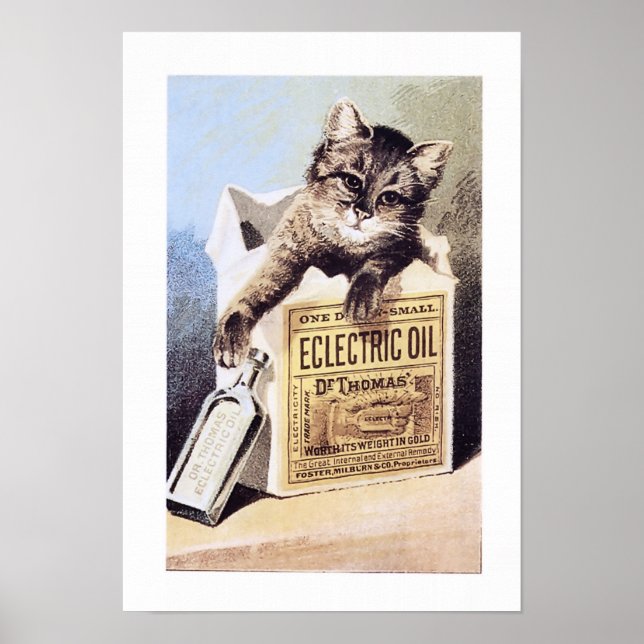 Electric Oil Cat Poster (Front)
