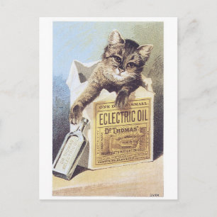Electric Oil Kitten Trading Card