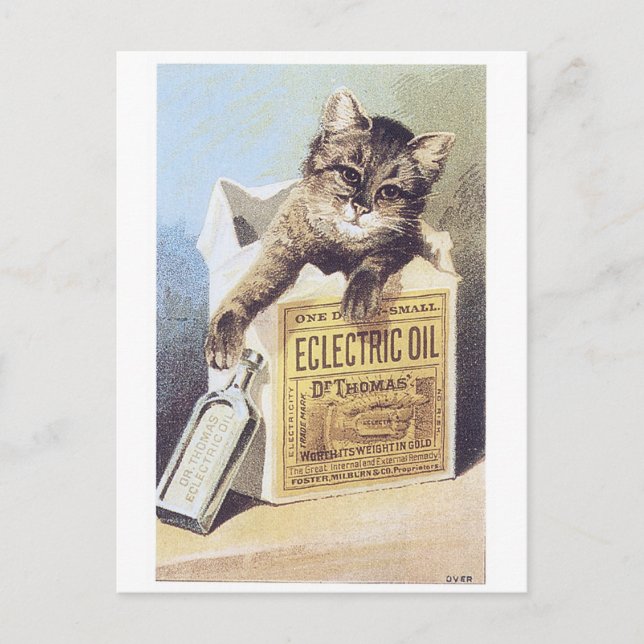 Electric Oil Kitten Trading Card (Front)