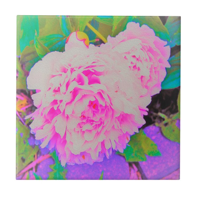 Electric Pink Peonies in the Colourful Garden Tile (Front)