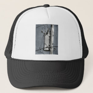 Electrical Transformer Trucker Hat