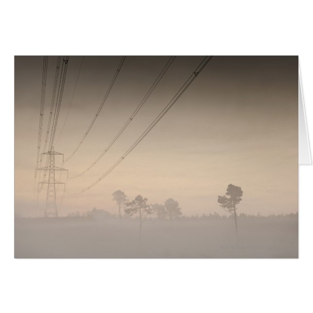 Electricity pylons and cables running (Front Horizontal)