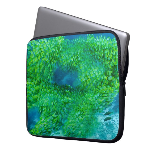 Electronics Bag (Front Left)