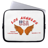 Electronics Bag Los Angeles 