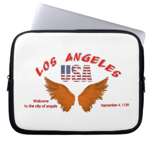 Electronics Bag Los Angeles 