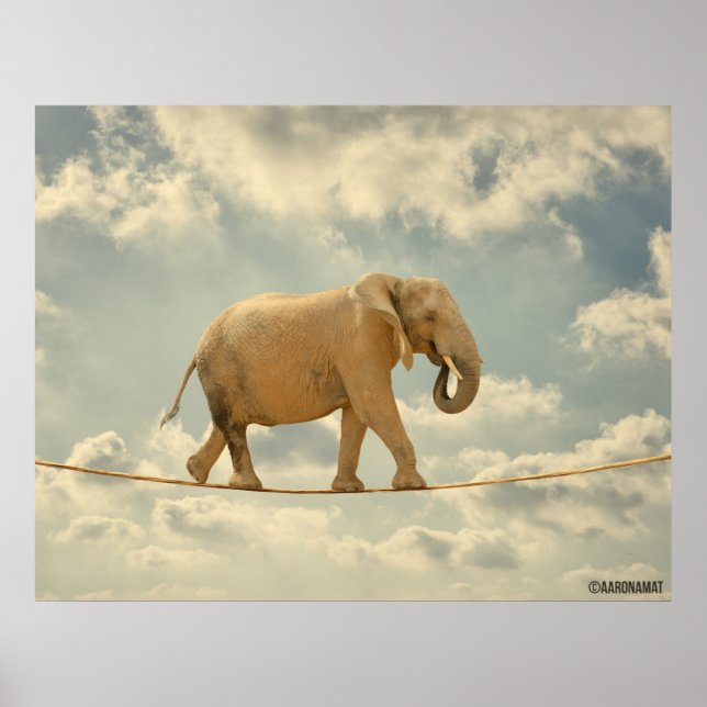Elefante Poster (Front)