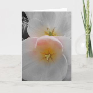 Elegance Card
