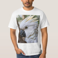 Elegance in White: The Majestic Aussie Cockatoo