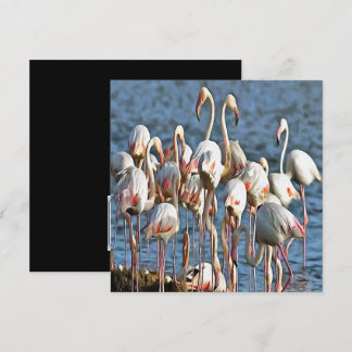 Elegance Of Artistic Pink Flamingos Invitation
