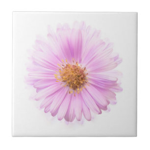 Elegance single flower tile
