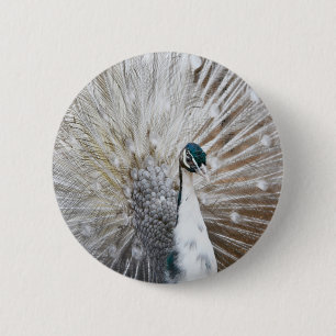 Elegant Albino Peacock 6 Cm Round Badge