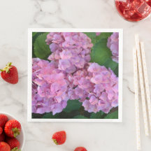 Elegant and Rustic Hortensia Hydrangea macrophylla