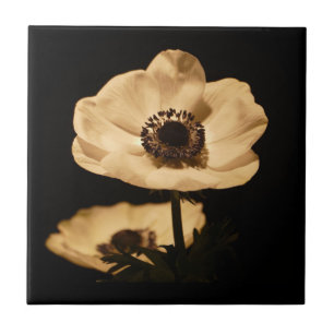 Elegant Anemone Flower Black Tile