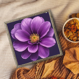 Elegant Anemone Photo Print
