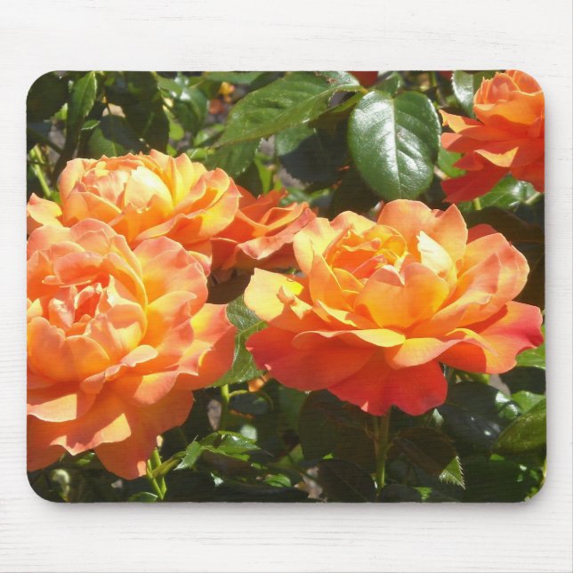 Elegant Apricot Roses Mouse Pad (Front)