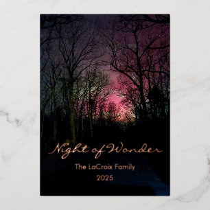 Elegant Aurora Christmas - Night of Wonder