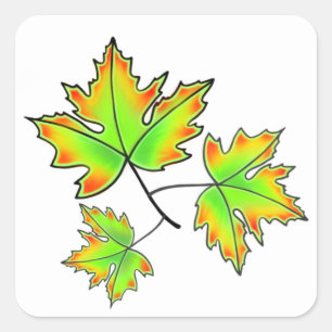 Elegant Autumn leaves green red yellow Maple Leaf Square Sticker