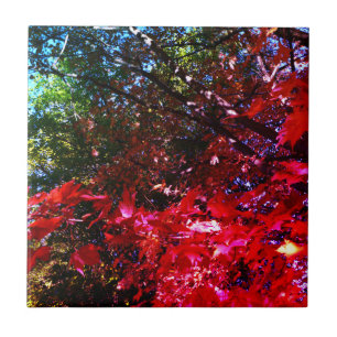 Elegant Autumn trees red pink leaves  Tile