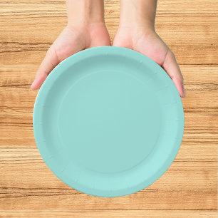 Elegant Baby & Co Teal Baby Shower Paper Plate