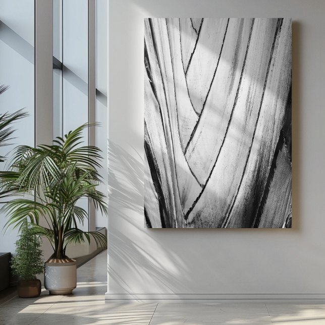 Elegant Banana Tree Bark Wrapped Canvas Print  (Close-up black and white photograph of banana tree bark, showcasing intricate, abstract patterns and)