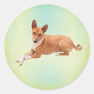 Elegant Basenji Dog  Classic Round Sticker