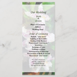Elegant Beallara Orchids Wedding Program Programme