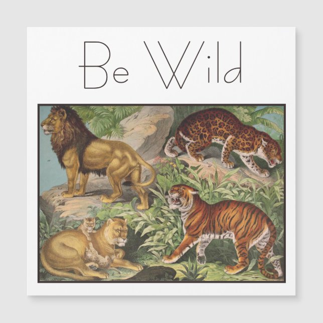 Elegant Big Cat Lions Tigers, Leopards Vintage (Front)