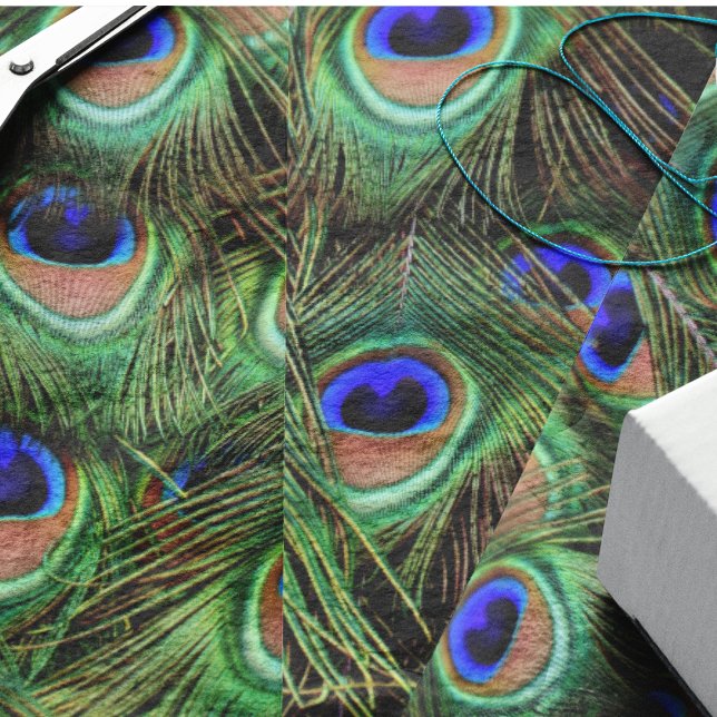 Elegant Bird Turquoise Green Peacock Feathers Tissue Paper (Peacock feathers tissue paper)