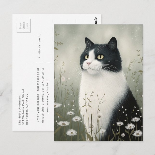 Elegant Black and White Cat Postcard (Front/Back)
