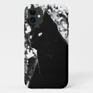 Elegant Black Cat - iPhone 5 Case