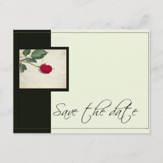 Elegant Black & Ivory save the date Announcement Postcard
