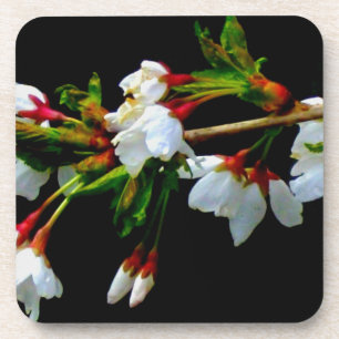 Elegant Black White flowering white Blossom Coaster