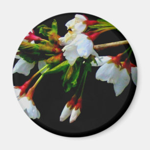 Elegant Black White flowering white Blossom Magnet