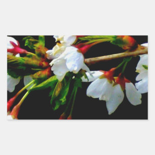 Elegant Black White flowering white Blossom Rectangular Sticker