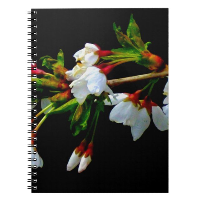 Elegant Black White flowering white Blossom Spiral Notebook (Front)