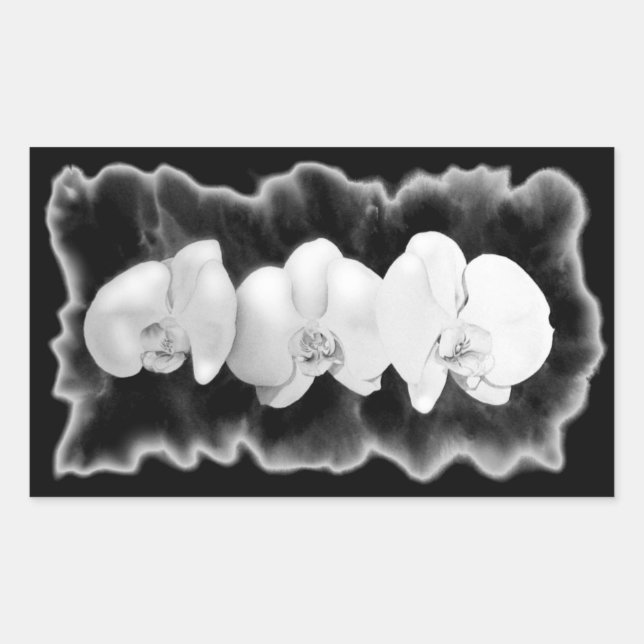 Elegant black white watercolor orchids rectangular sticker (Front)