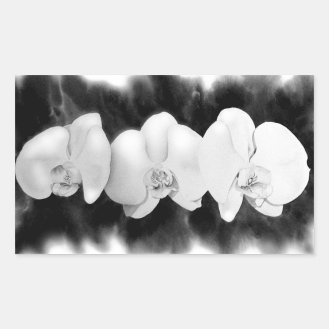 Elegant black white watercolor orchids rectangular sticker (Front)