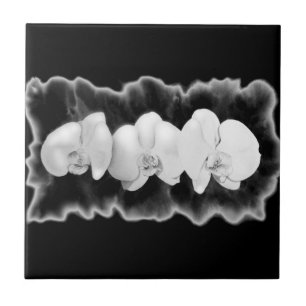 Elegant black white watercolor orchids tile