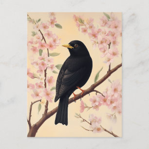 Elegant Blackbird on Blossoms Postcard