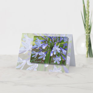 Elegant Blue Agapanthus Any Occasion Thanks Card