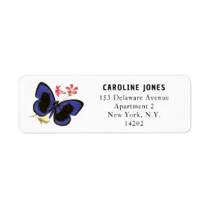 Elegant Blue Butterfly Vintage Return Address