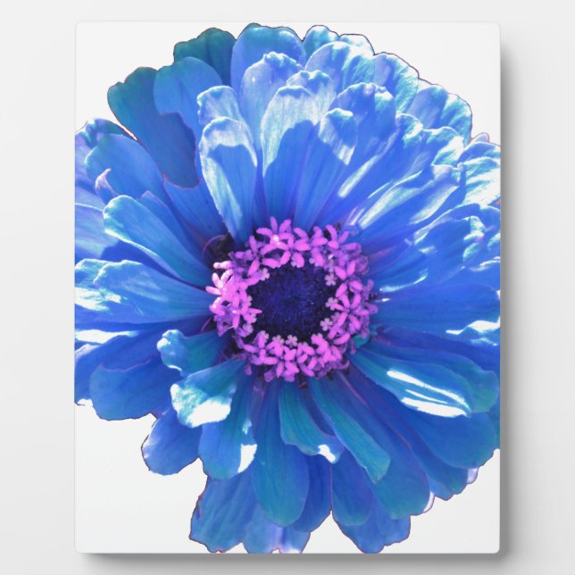 Elegant blue floral blue daisy plaque (Front)