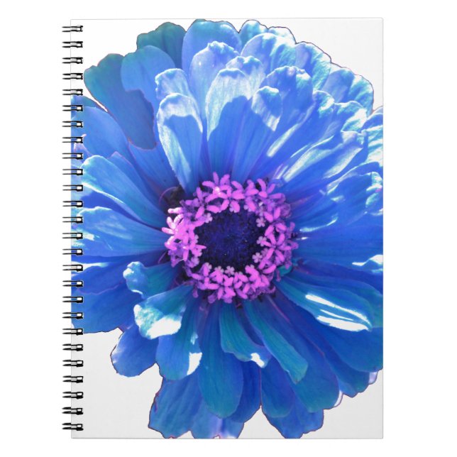 Elegant blue floral blue daisy spiral notebook (Front)