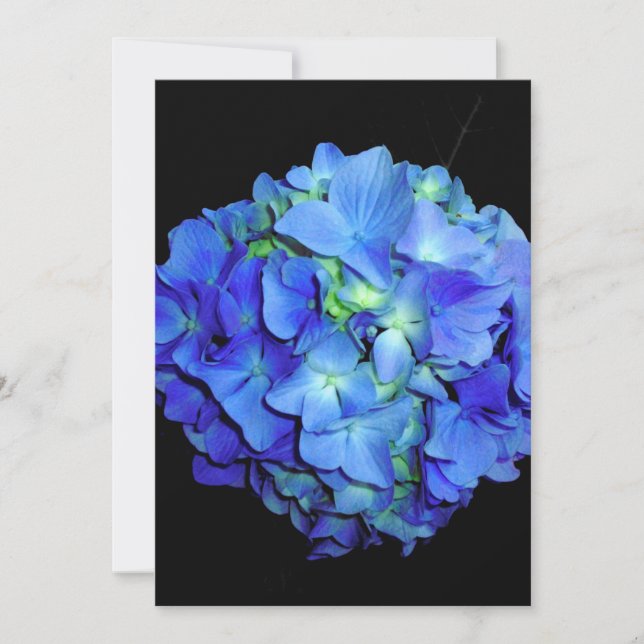 Elegant blue floral blue roses blue hydrangeas  invitation (Front)