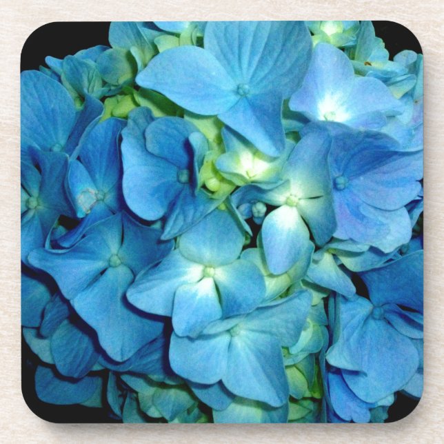 Elegant blue flower floral hydrangea   coaster (Front)